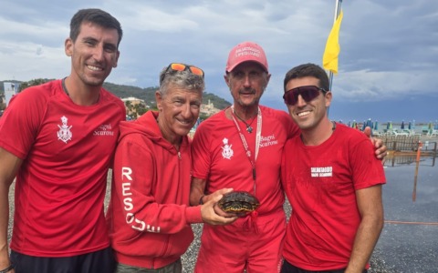Quattro bagnini salvano in mare a Diano Marina una tartaruga… di acqua dolce