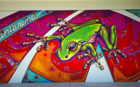 Una rana per raccontare il territorio: nuovo murales alla scuola dell’infanzia