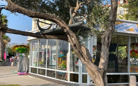 Impegno vandalico: una panchina posizionata…su un albero