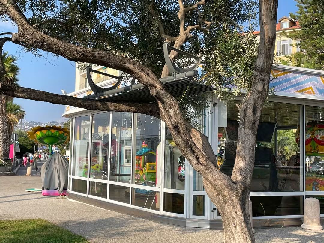 Impegno vandalico: una panchina posizionata…su un albero