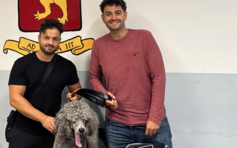 Agenti della Polizia locale di Ventimiglia “salvano” un cane tra le auto in transito