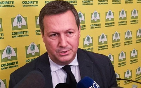 Il 12 ottobre l’interrogatorio di garanzia a Palermo del manager Pino Argirò