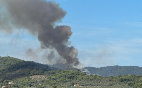 Incendi in più zone delle colline dianesi